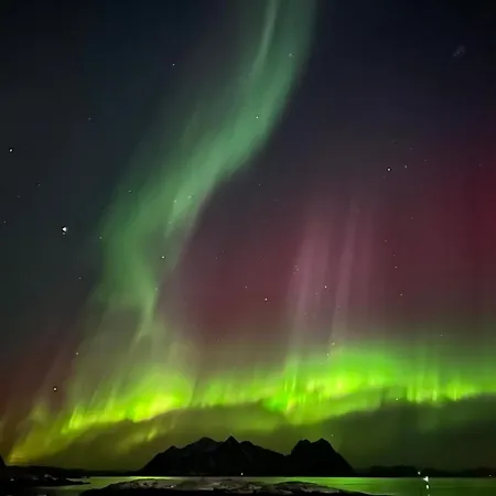 Lofoten Apartmán Svolvær