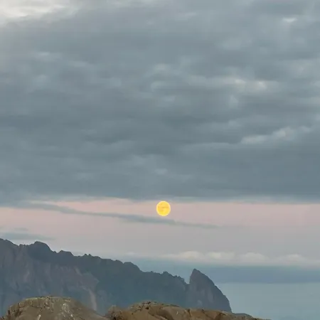 アパート Lofoten